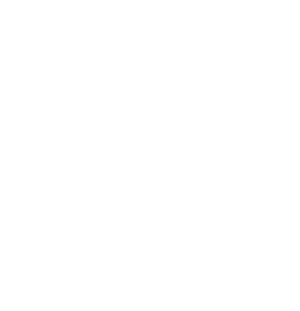 Swarland Logo